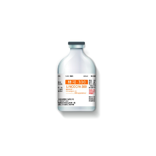 林可-300 注射劑-01